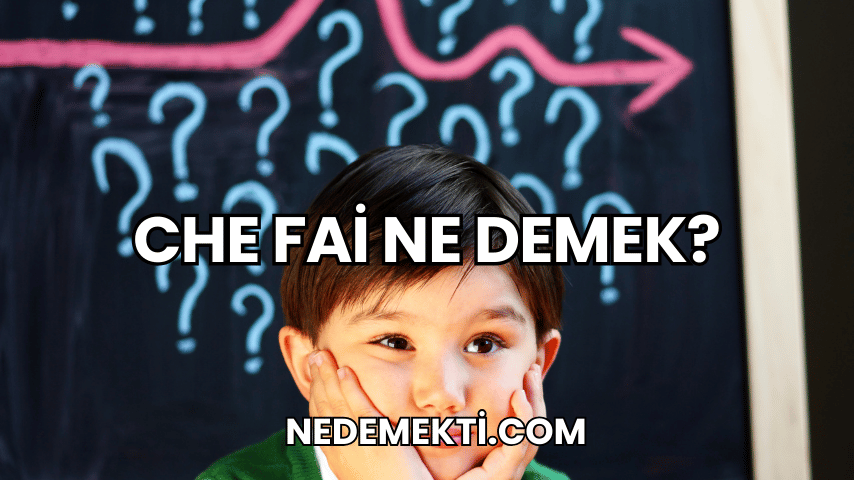 Che Fai Ne Demek?