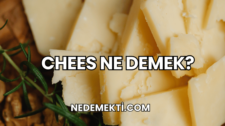 Chees Ne Demek?