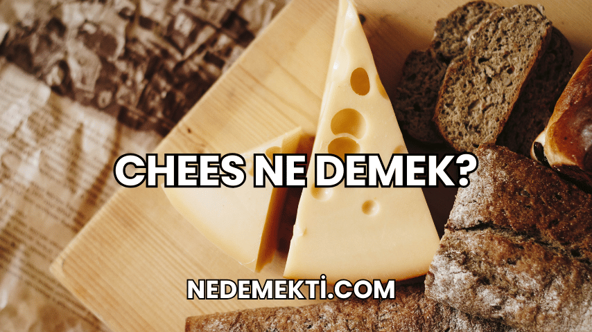 Chees Ne Demek?