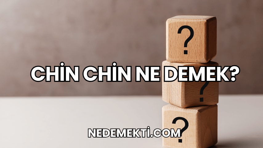 Chin Chin Ne Demek?