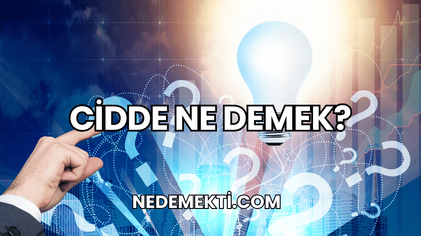 Cidde Ne Demek?