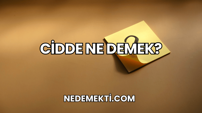 Cidde Ne Demek?