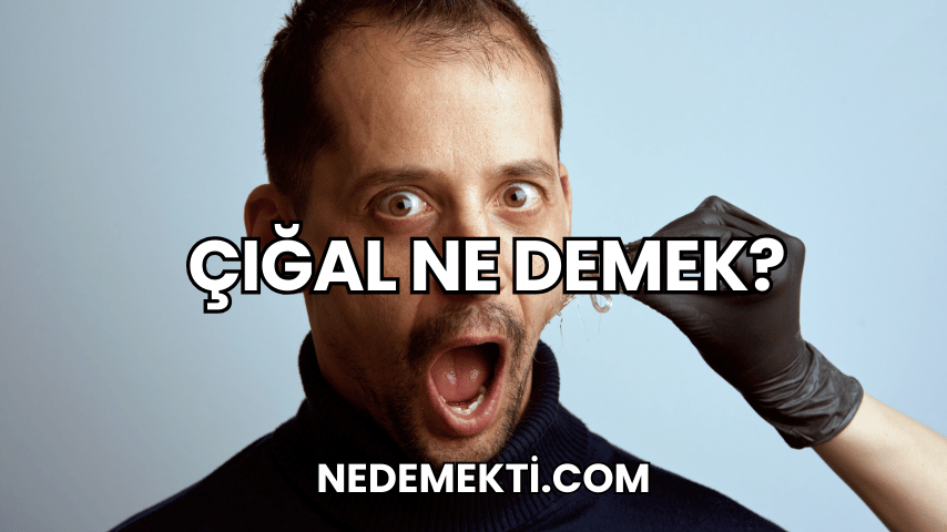 Çığal Ne Demek?