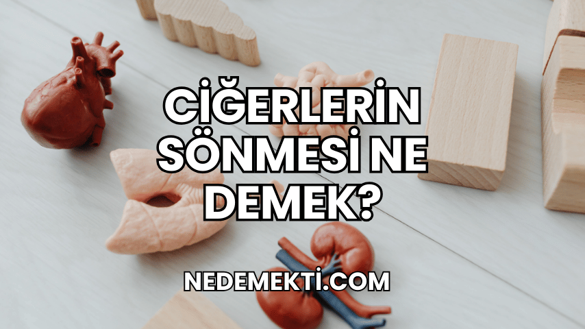 Ciğerlerin Sönmesi Ne Demek?