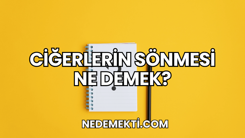 Ciğerlerin Sönmesi Ne Demek?