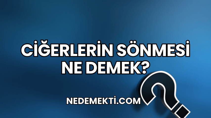 Ciğerlerin Sönmesi Ne Demek?