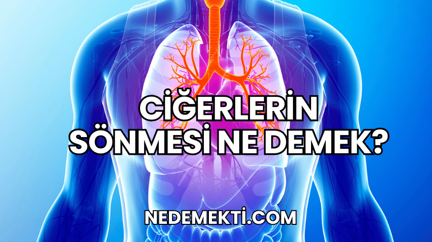 Ciğerlerin Sönmesi Ne Demek?