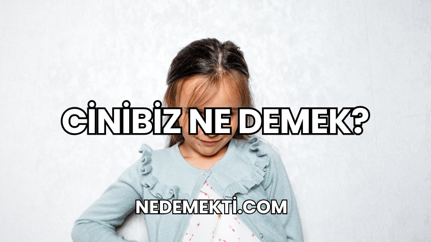 Cinibiz Ne Demek?