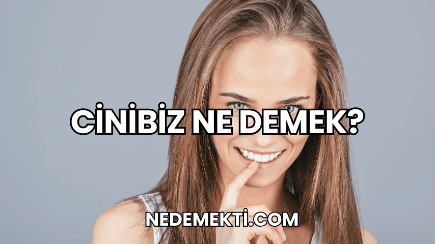 Cinibiz Ne Demek?