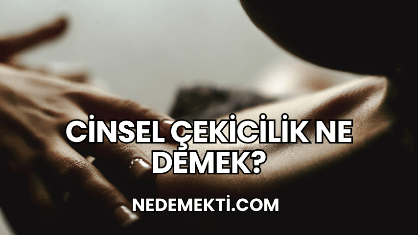 Cinsel Çekicilik Ne Demek?