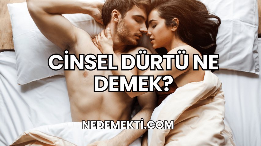 Cinsel Dürtü Ne Demek?