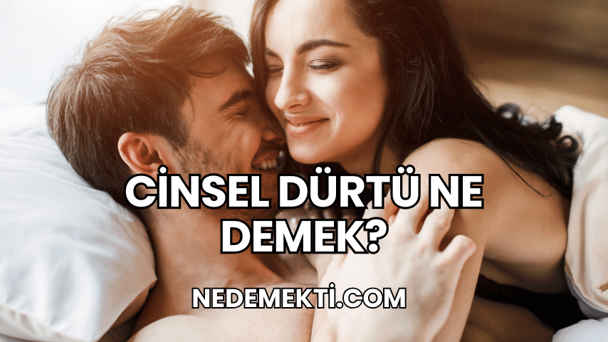 Cinsel Dürtü Ne Demek?