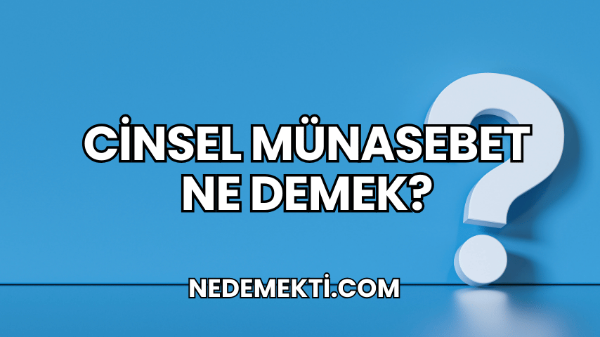 Cinsel Münasebet Ne Demek?