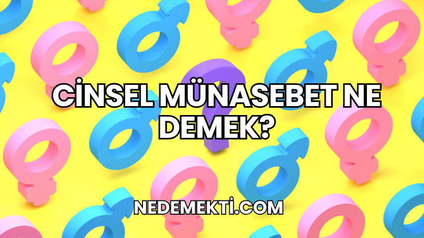 Cinsel Münasebet Ne Demek?