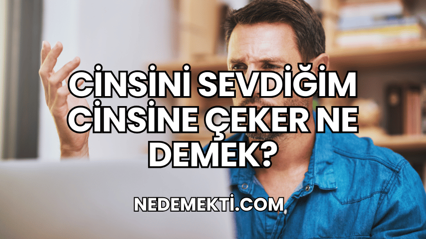 Cinsini Sevdiğim Cinsine Çeker Ne Demek?