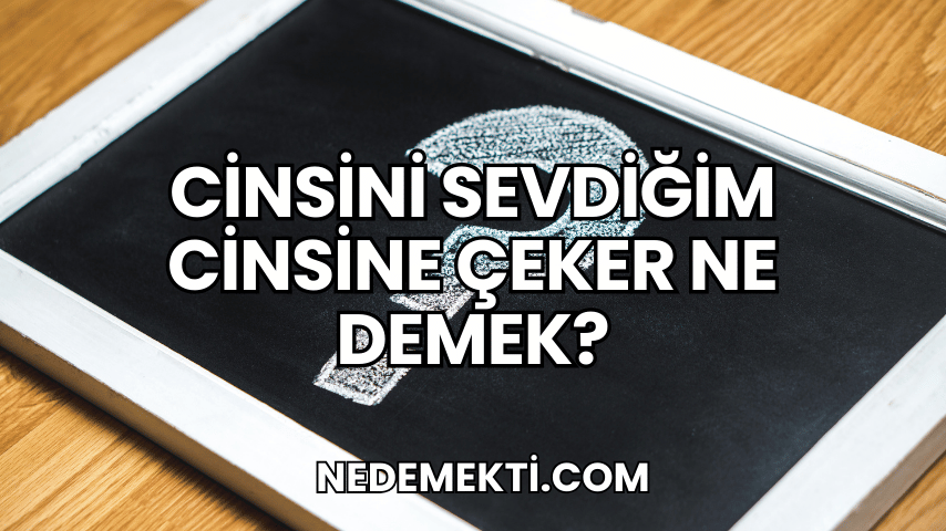 Cinsini Sevdiğim Cinsine Çeker Ne Demek?