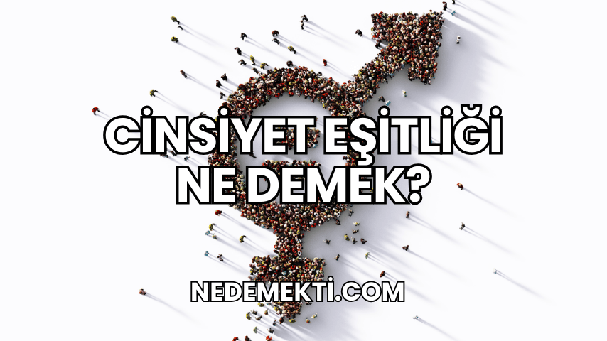 Cinsiyet Eşitliği Ne Demek?