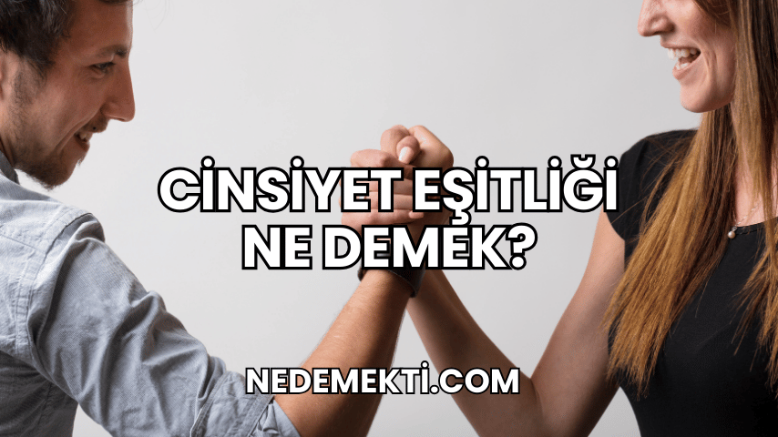 Cinsiyet Eşitliği Ne Demek?