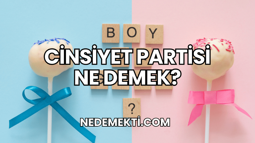 Cinsiyet Partisi Ne Demek?