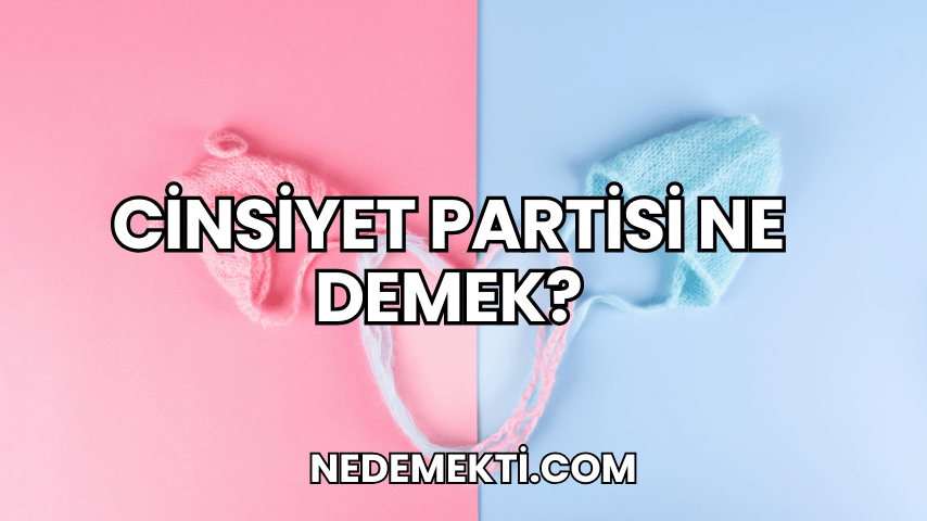 Cinsiyet Partisi Ne Demek?