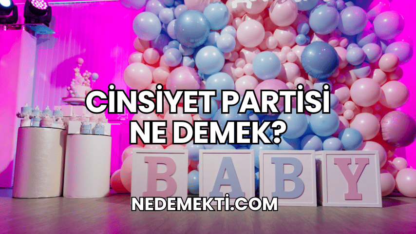 Cinsiyet Partisi Ne Demek?