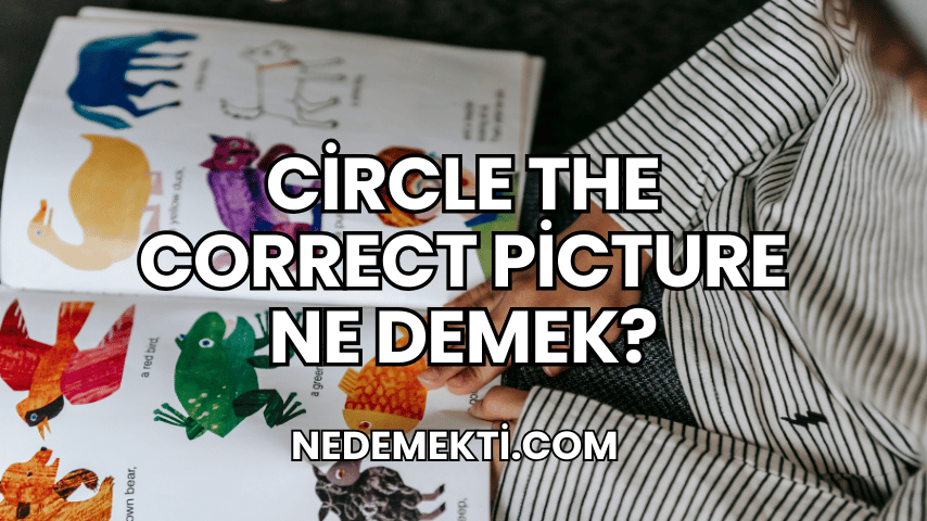 Circle the Correct Picture Ne Demek?