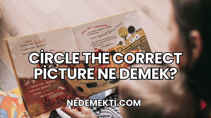 Circle the Correct Picture Ne Demek?