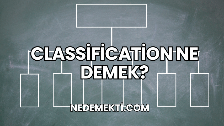 Classification Ne Demek?