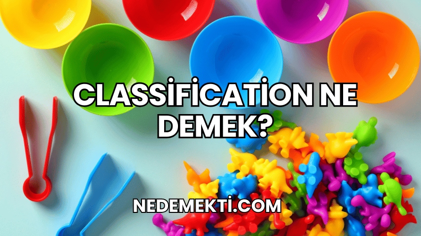 Classification Ne Demek?