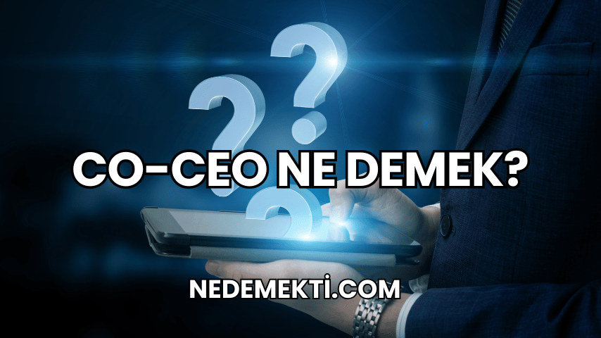 Co-CEO Ne Demek?