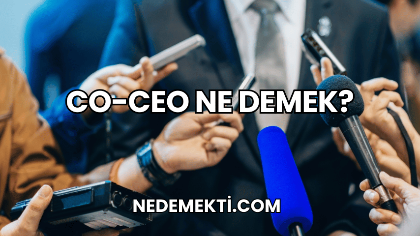 Co-CEO Ne Demek?