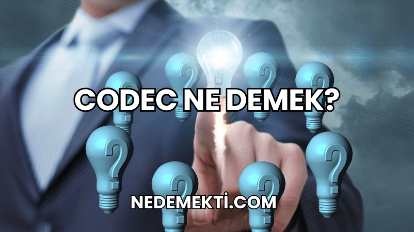 Codec Ne Demek?