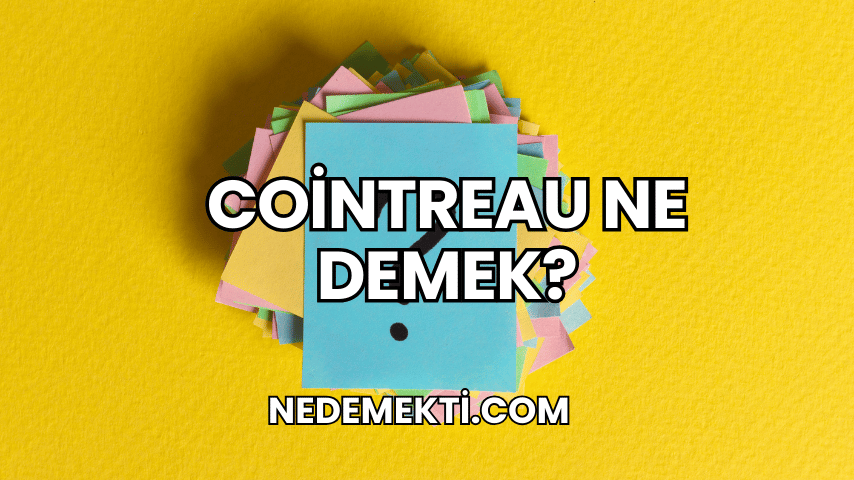 Cointreau Ne Demek?