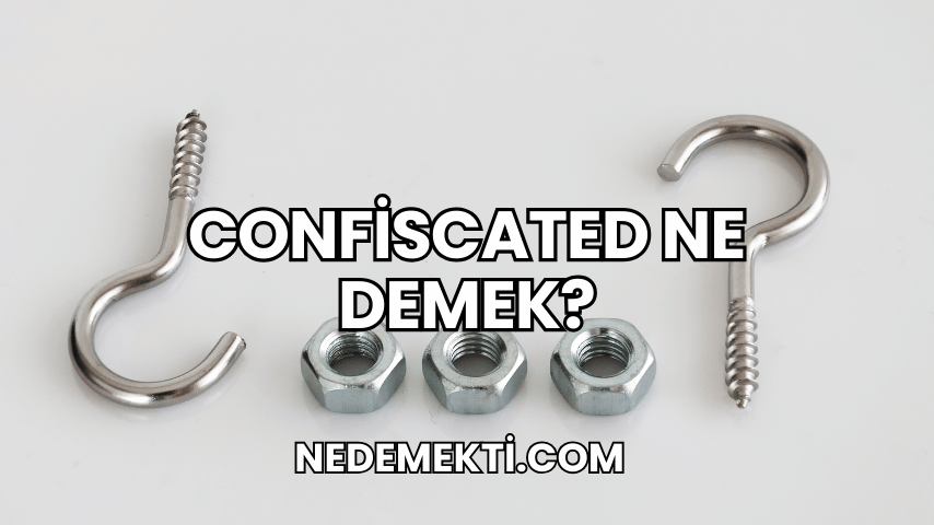 Confiscated Ne Demek?