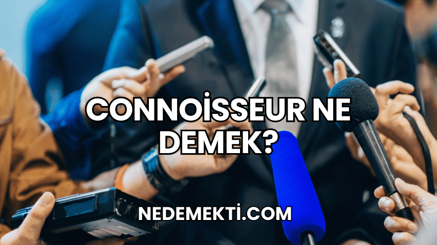 Connoisseur Ne Demek?