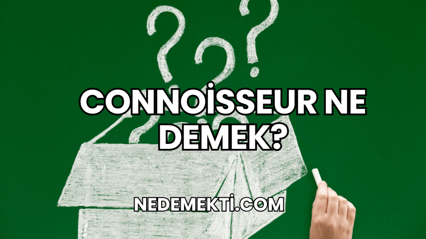 Connoisseur Ne Demek?