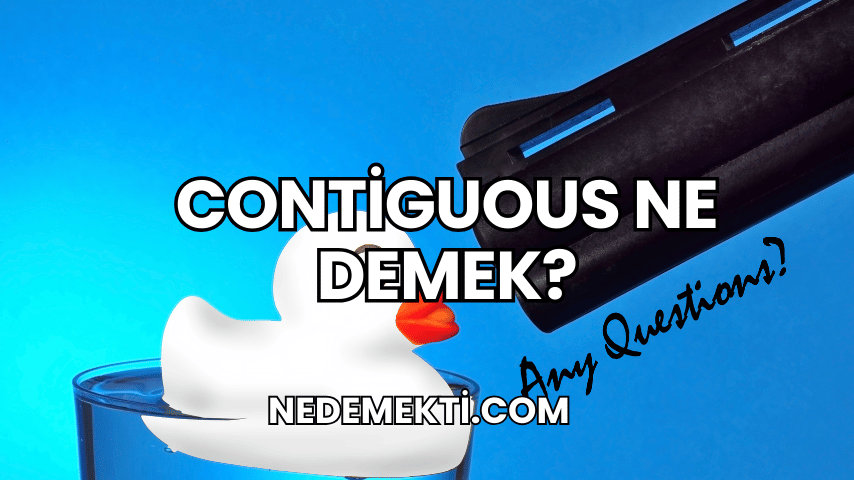 Contiguous Ne Demek?