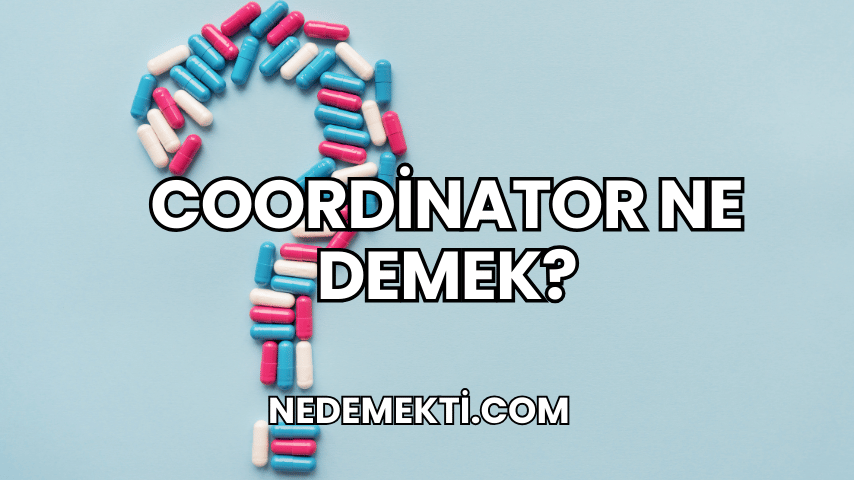 Coordinator Ne Demek?