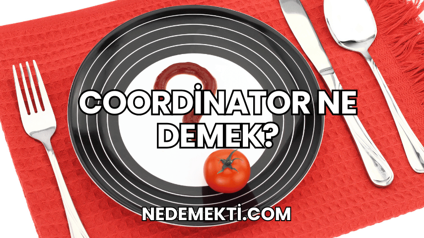 Coordinator Ne Demek?