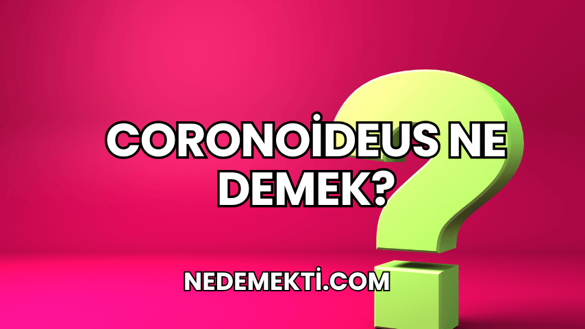 Coronoideus Ne Demek?