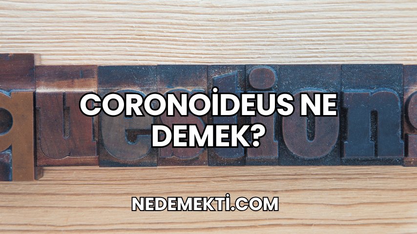 Coronoideus Ne Demek?