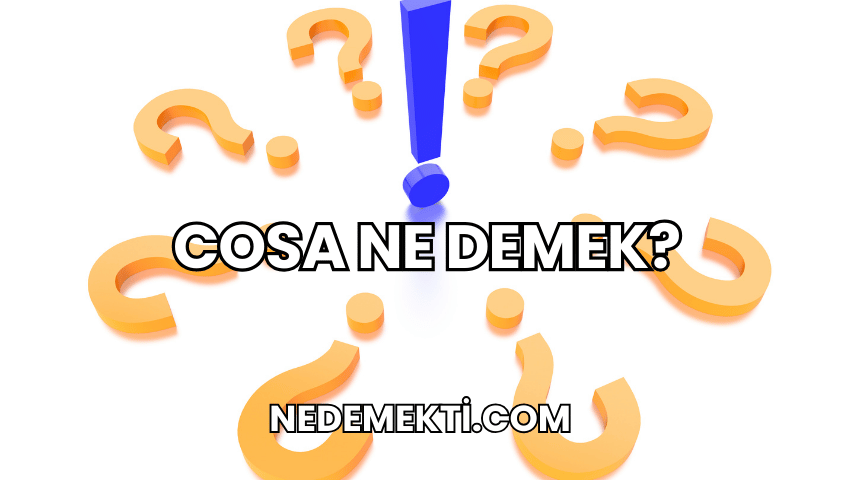 Cosa Ne Demek?