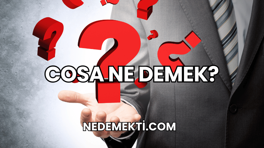 Cosa Ne Demek?