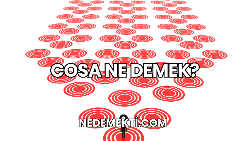 Cosa Ne Demek?