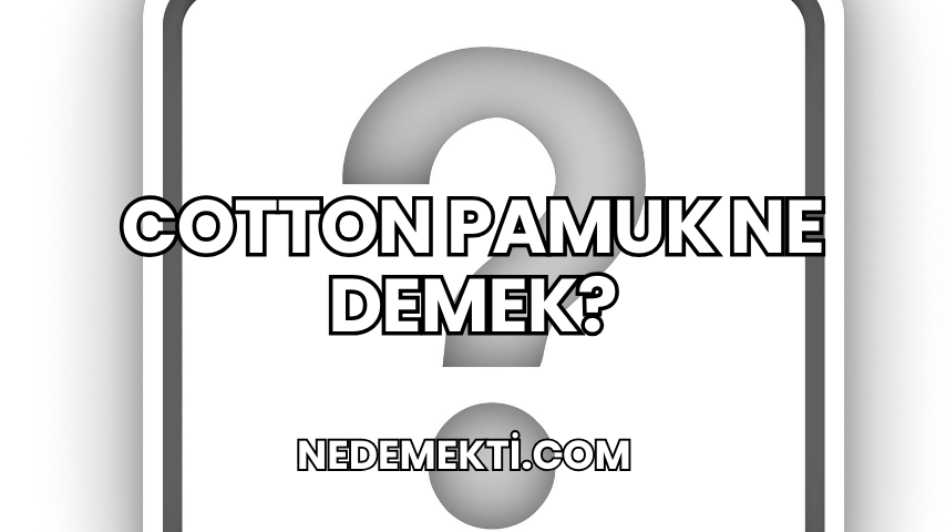 Cotton Pamuk Ne Demek?