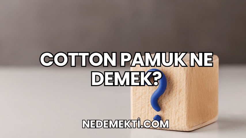 Cotton Pamuk Ne Demek?