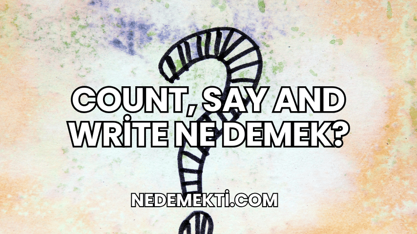 Count, Say and Write Ne Demek?