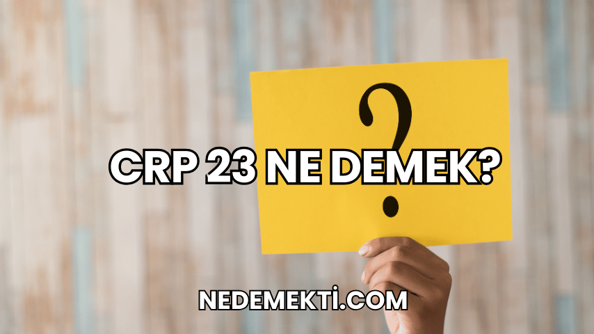 CRP 23 Ne Demek?