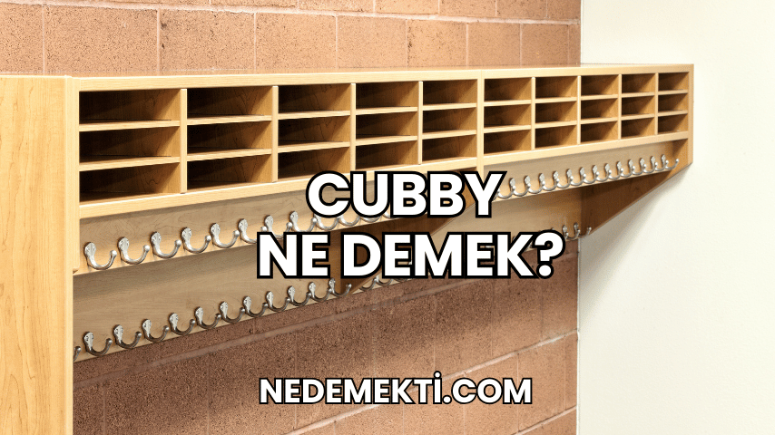 Cubby Ne Demek?