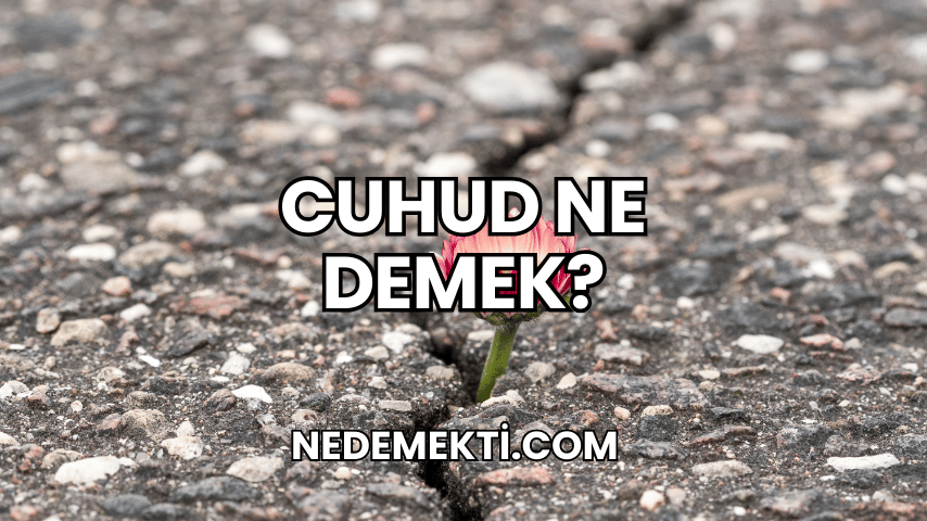 Cuhud Ne Demek?